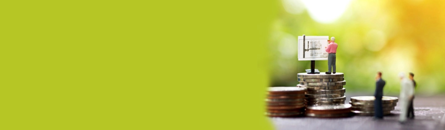 Investment guide